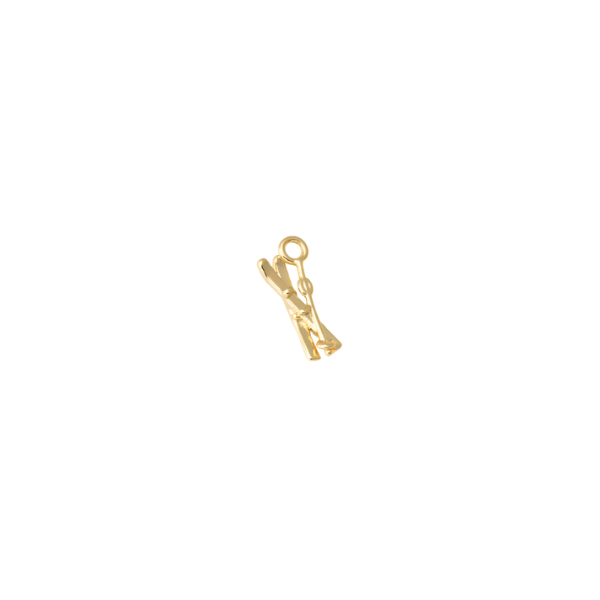 SPORTS+HOBBIES Charm Collection