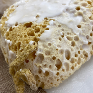 Pampas sponge, large