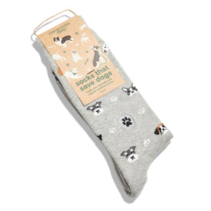 Socks that Save Dogs (Hound Headshots)