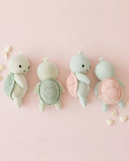 Baby sea turtle | cuddle + kind