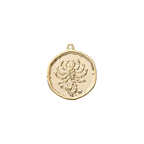 Zodiac Coin Charm Collection