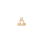 Mini Zodiac Sign Charm Collection