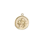 Zodiac Coin Charm Collection