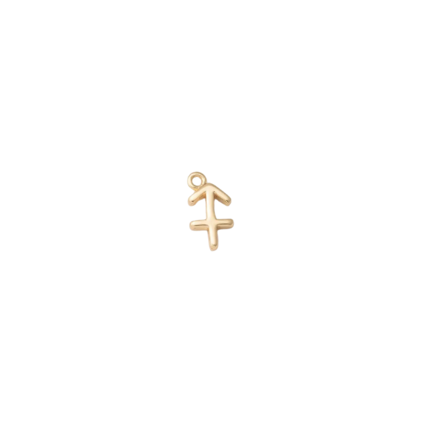Mini Zodiac Sign Charm Collection