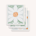 Set of 3 Swedish Dishcloth: Daisy Combo