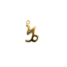 Mini Zodiac Sign Charm Collection