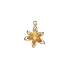 FLORAL Charm Collection