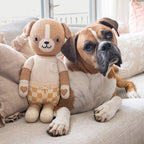 George the Dog | cuddle + kind