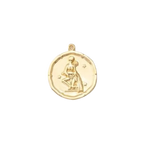 Zodiac Coin Charm Collection