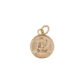 Zodiac Constellation Charm Collection