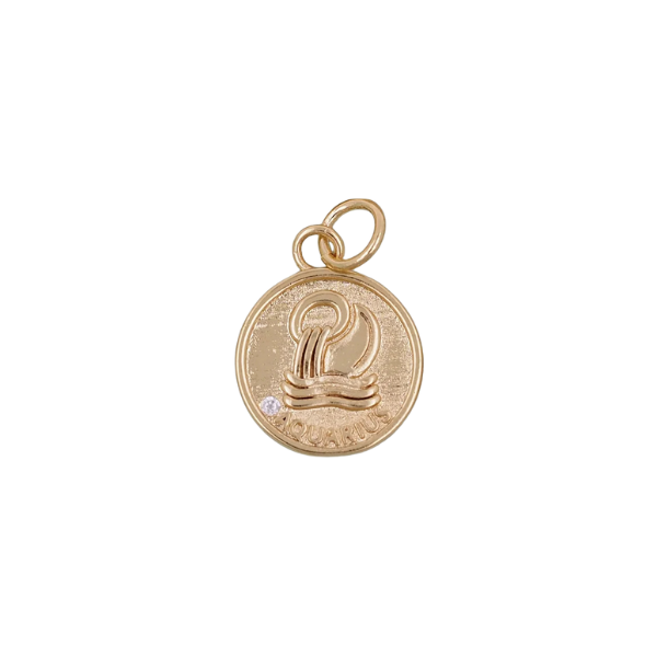 Zodiac Constellation Charm Collection