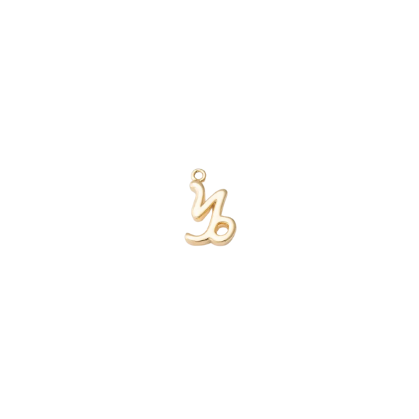 Mini Zodiac Sign Charm Collection