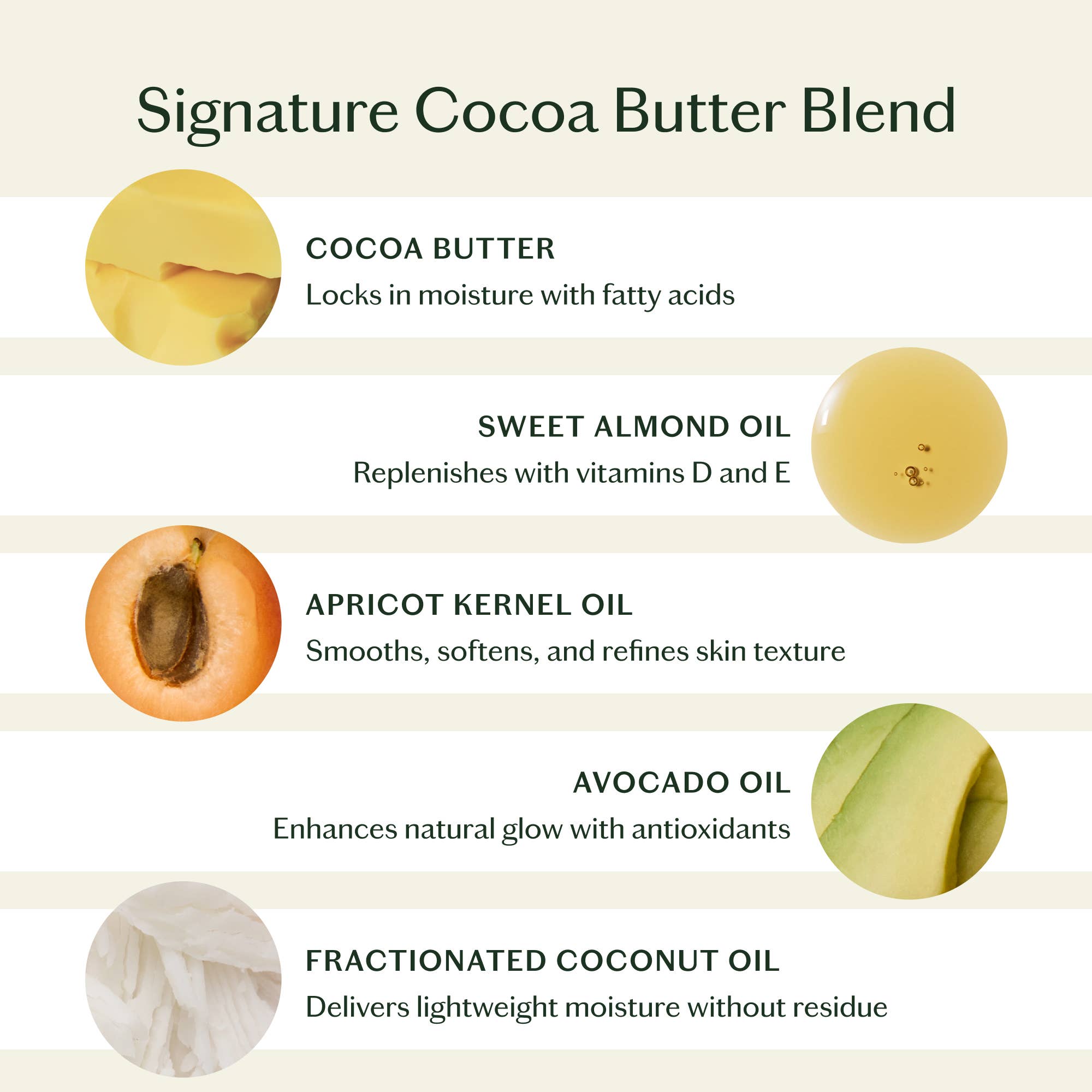 Daily Stone | Deep Moisturizing Lotion Bar: Starter Kit (3.5 oz)