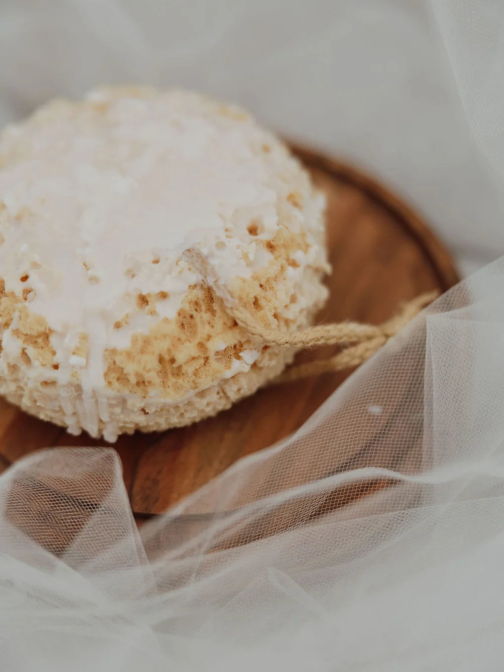 Pampas Sponge, large