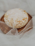 Pampas Sponge, large