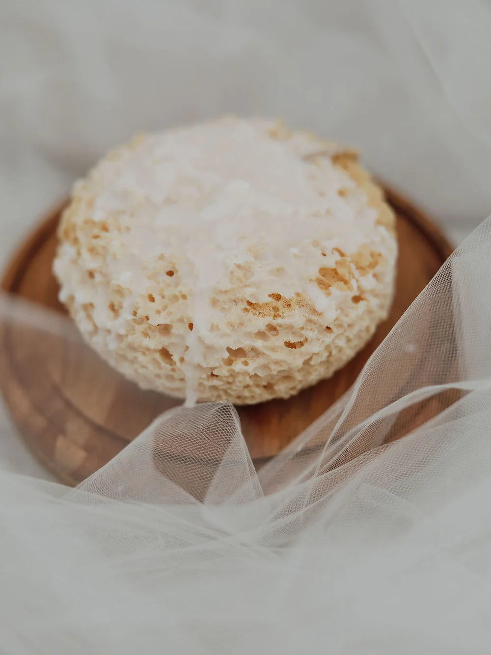 Pampas Sponge, large