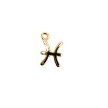 Mini Zodiac Sign Charm Collection