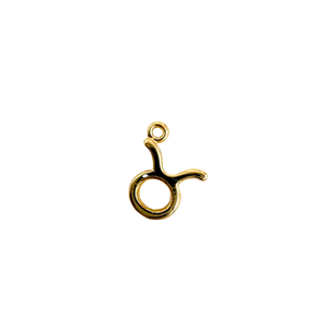 Mini Zodiac Sign Charm Collection