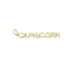 WORD Charm Collection