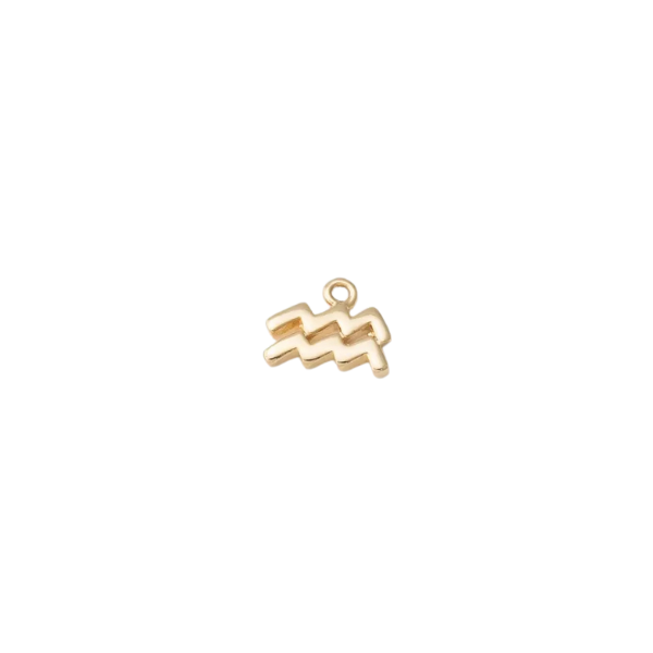 Mini Zodiac Sign Charm Collection
