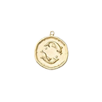 Zodiac Coin Charm Collection