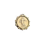 Antique Gold Large Charms