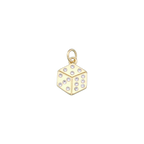 MISCELLANEOUS Charm Collection