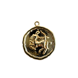 Zodiac Coin Charm Collection