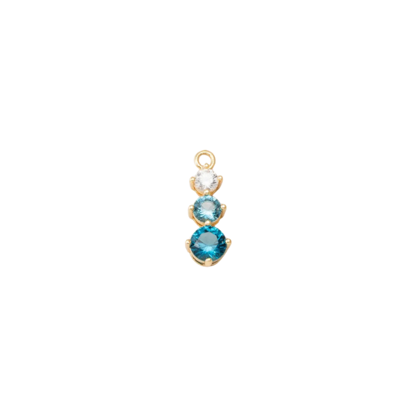 MISCELLANEOUS Charm Collection