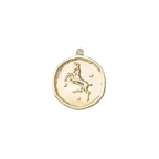 Zodiac Coin Charm Collection