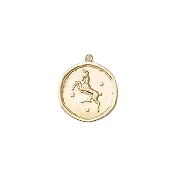 Zodiac Coin Charm Collection