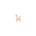 Mini Zodiac Sign Charm Collection
