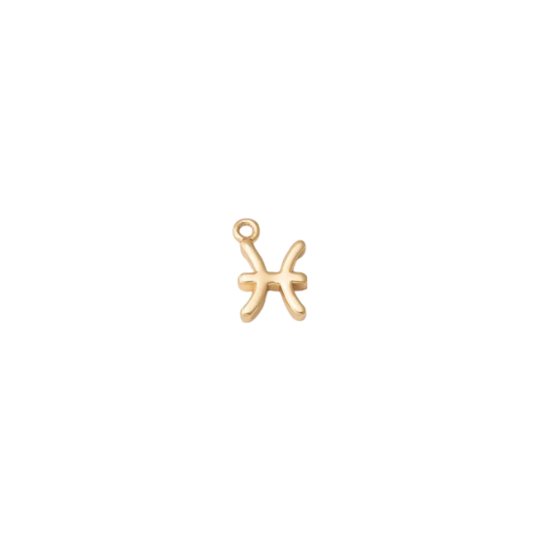 Mini Zodiac Sign Charm Collection