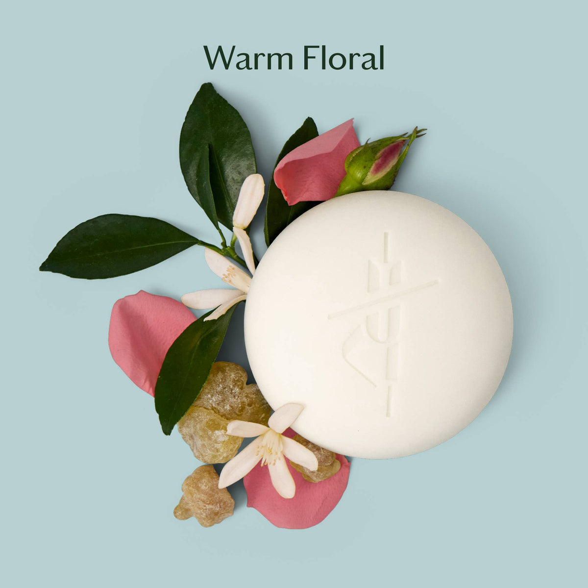 Daily Stone Refill | Deep Moisturizing Lotion Bar