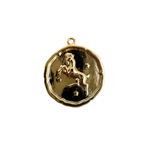 Zodiac Coin Charm Collection