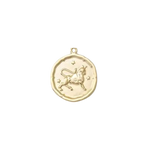 Zodiac Coin Charm Collection