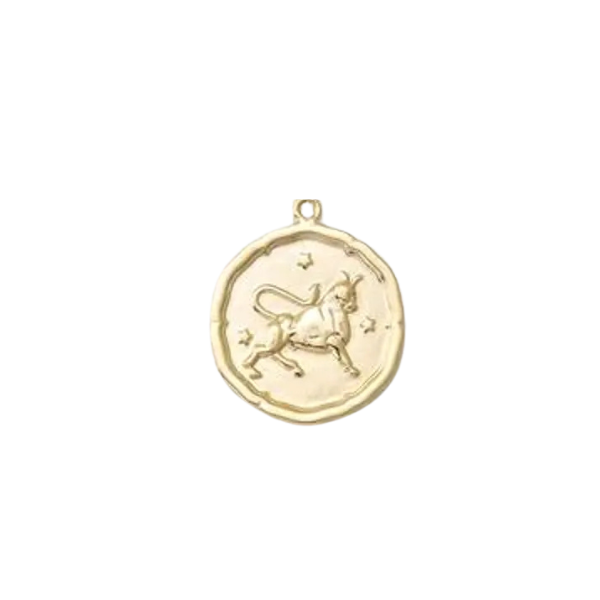 Zodiac Coin Charm Collection