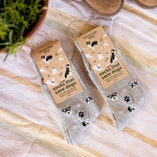 Socks that Save Dogs (Hound Headshots)