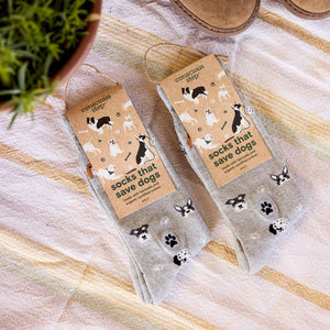 Socks that Save Dogs (Hound Headshots)