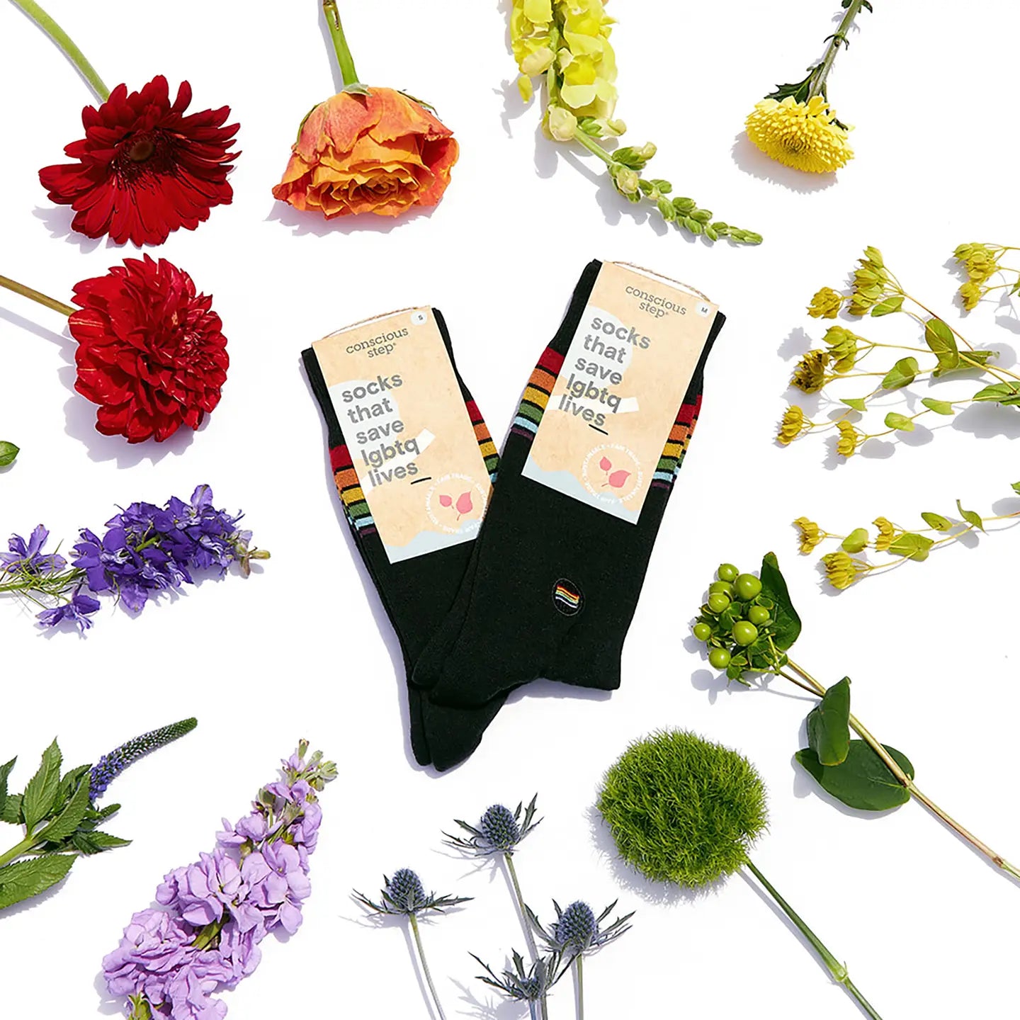 Save LGBTQ Lives Socks - Rainbow Stripe