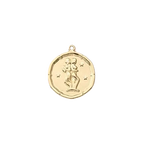 Zodiac Coin Charm Collection