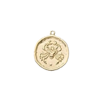 Zodiac Coin Charm Collection