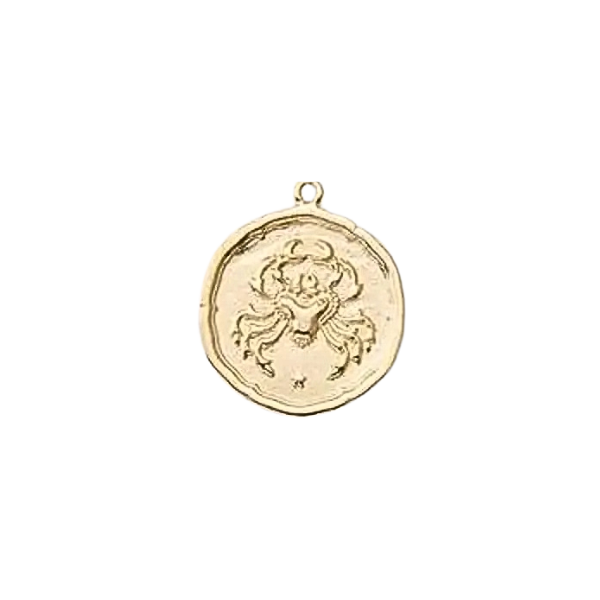 Zodiac Coin Charm Collection
