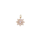 FLORAL Charm Collection