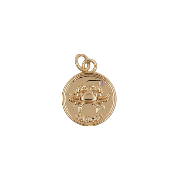 Zodiac Constellation Charm Collection