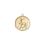 Zodiac Coin Charm Collection