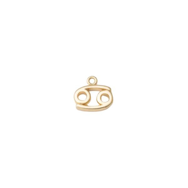 Mini Zodiac Sign Charm Collection