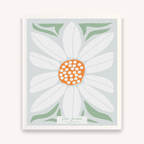 Set of 3 Swedish Dishcloth: Daisy Combo
