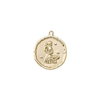 Zodiac Coin Charm Collection