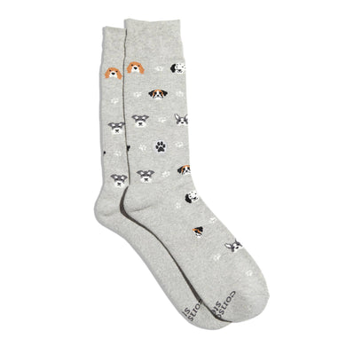 Socks that Save Dogs (Hound Headshots)